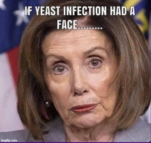 A Mind is a Terrible Thing to Waist | image tagged in vince vance,nancy pelosi,hatred,strategic,evil,memes | made w/ Imgflip meme maker