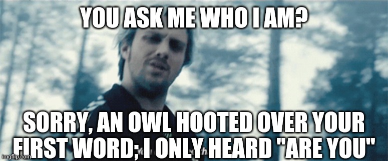 ... | YOU ASK ME WHO I AM? SORRY, AN OWL HOOTED OVER YOUR FIRST WORD; I ONLY HEARD "ARE YOU" | image tagged in quicksilver you didn't see that coming | made w/ Imgflip meme maker