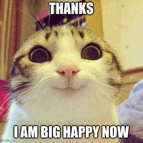 Smiling Cat Meme | THANKS I AM BIG HAPPY NOW | image tagged in memes,smiling cat | made w/ Imgflip meme maker