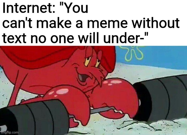 Internet: "You can't make a meme without text no one will under-" | image tagged in observe,spongebob,funny,memes,funny memes,ironic | made w/ Imgflip meme maker