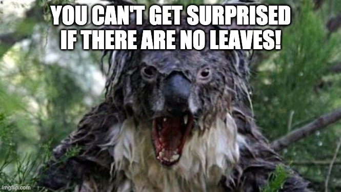 Angry Koala Meme | YOU CAN'T GET SURPRISED IF THERE ARE NO LEAVES! | image tagged in memes,angry koala | made w/ Imgflip meme maker