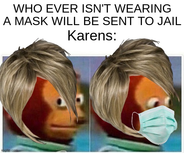 WHO EVER ISN'T WEARING A MASK WILL BE SENT TO JAIL; Karens: | image tagged in karen,face mask | made w/ Imgflip meme maker