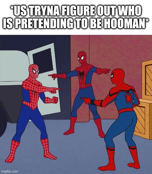 ~ c h a o s ~           -Narwhal | *US TRYNA FIGURE OUT WHO IS PRETENDING TO BE HOOMAN* | image tagged in spider man triple | made w/ Imgflip meme maker