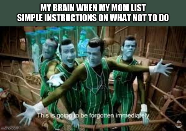 could not copy files because no-fondue | MY BRAIN WHEN MY MOM LIST SIMPLE INSTRUCTIONS ON WHAT NOT TO DO | image tagged in funny | made w/ Imgflip meme maker