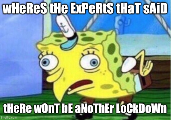 Spongebob COVID-19 | wHeReS tHe ExPeRtS tHaT sAiD; tHeRe wOnT bE aNoThEr LoCkDoWn | image tagged in memes,mocking spongebob | made w/ Imgflip meme maker