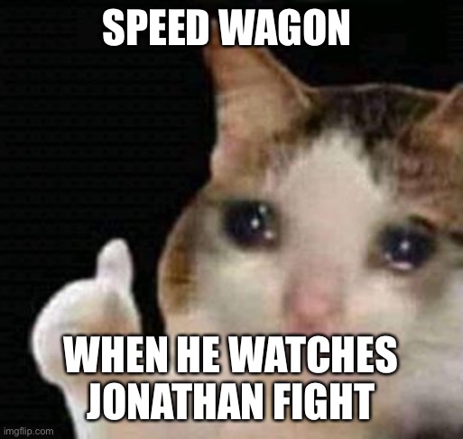 sad thumbs up cat | SPEED WAGON; WHEN HE WATCHES JONATHAN FIGHT | image tagged in sad thumbs up cat | made w/ Imgflip meme maker