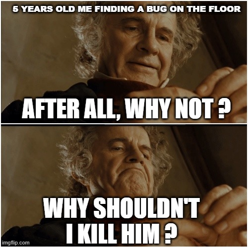 Bilbo - Why shouldn’t I keep it? | 5 YEARS OLD ME FINDING A BUG ON THE FLOOR; AFTER ALL, WHY NOT ? WHY SHOULDN'T I KILL HIM ? | image tagged in bilbo - why shouldn t i keep it,kid,bug | made w/ Imgflip meme maker
