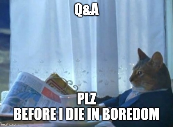 I Should Buy A Boat Cat | Q&A; PLZ
BEFORE I DIE IN BOREDOM | image tagged in memes,i should buy a boat cat | made w/ Imgflip meme maker