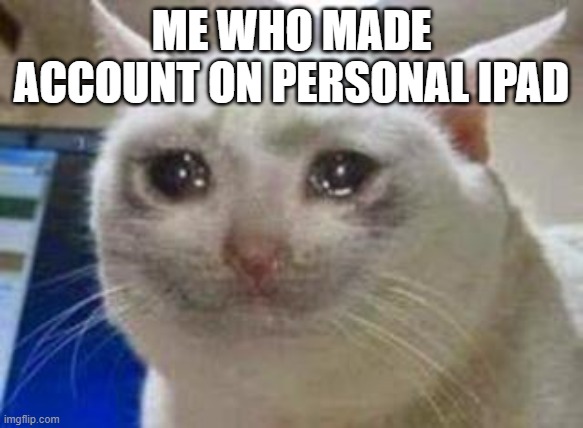 Sad cat | ME WHO MADE ACCOUNT ON PERSONAL IPAD | image tagged in sad cat | made w/ Imgflip meme maker