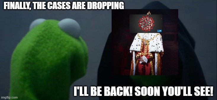 Evil Kermit |  FINALLY, THE CASES ARE DROPPING; I'LL BE BACK! SOON YOU'LL SEE! | image tagged in memes,evil kermit | made w/ Imgflip meme maker