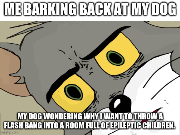 Bruh | ME BARKING BACK AT MY DOG; MY DOG WONDERING WHY I WANT TO THROW A FLASH BANG INTO A ROOM FULL OF EPILEPTIC CHILDREN. | image tagged in bruh | made w/ Imgflip meme maker