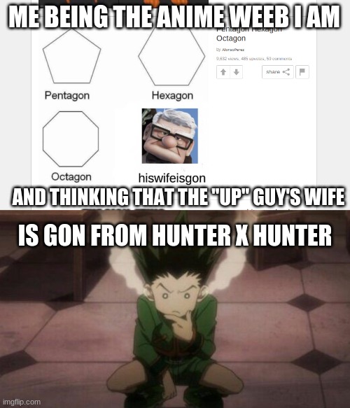 Anime Weeb | ME BEING THE ANIME WEEB I AM; AND THINKING THAT THE "UP" GUY'S WIFE; IS GON FROM HUNTER X HUNTER | image tagged in weebs,anime meme,funny | made w/ Imgflip meme maker