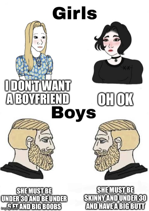 Girls vs Boys | I DON'T WANT A BOYFRIEND OH OK SHE MUST BE UNDER 30 AND BE UNDER 6 FT AND BIG BOOBS SHE MUST BE SKINNY AND UNDER 30 AND HAVE A BIG BUTT | image tagged in girls vs boys | made w/ Imgflip meme maker