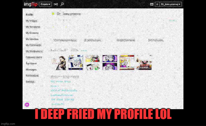 Y tho | I DEEP FRIED MY PROFILE LOL | image tagged in xd,deep fried,memes,profile | made w/ Imgflip meme maker