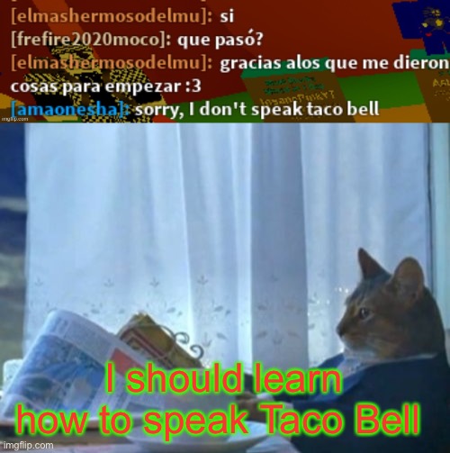 I should learn how to speak Taco Bell | image tagged in memes,i should buy a boat cat | made w/ Imgflip meme maker