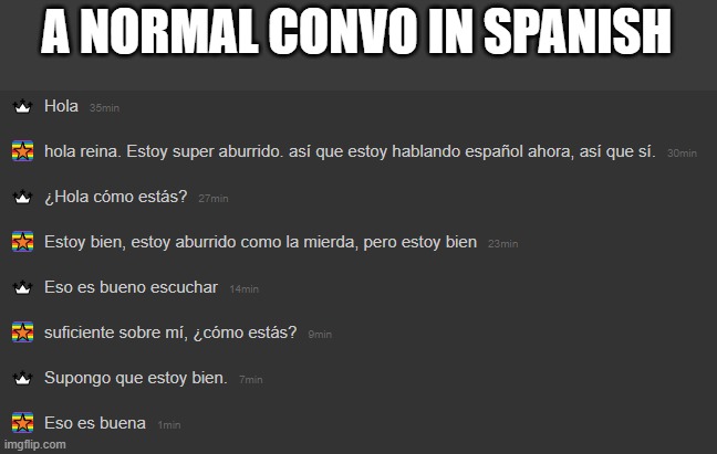 yes i know full spanish. differently didnt use google translate hehe.... | A NORMAL CONVO IN SPANISH | made w/ Imgflip meme maker