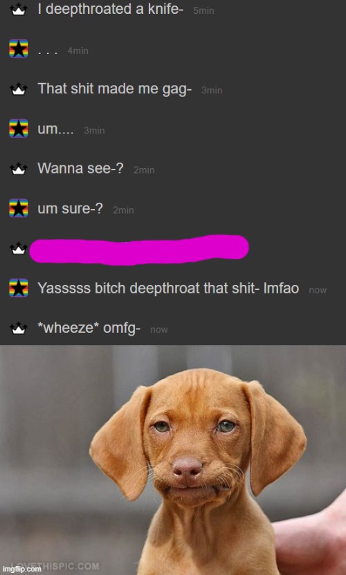 *wheeeze* | image tagged in umm dog | made w/ Imgflip meme maker