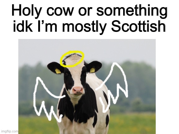 :3 | Holy cow or something idk I’m mostly Scottish | image tagged in im not american so idk | made w/ Imgflip meme maker