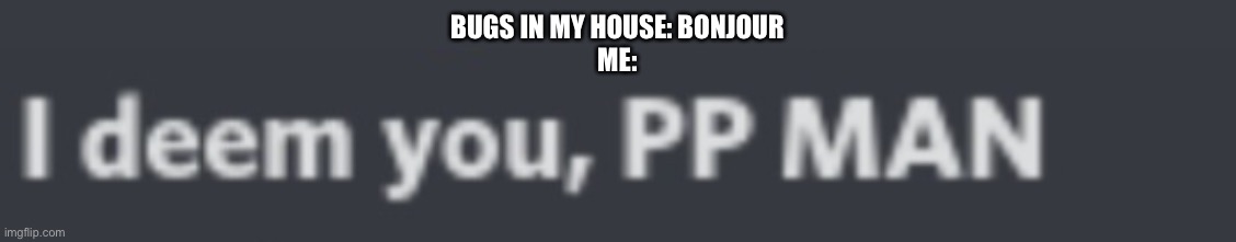 BUGS IN MY HOUSE: BONJOUR
ME: | made w/ Imgflip meme maker