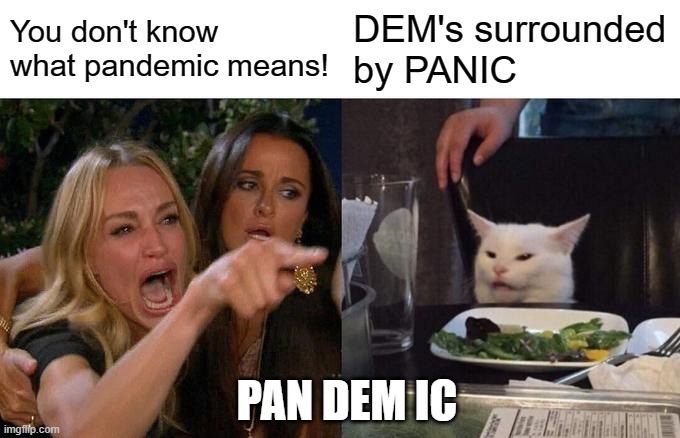 Dems | You don't know what pandemic means! DEM's surrounded by PANIC; PAN DEM IC | image tagged in memes,woman yelling at cat | made w/ Imgflip meme maker