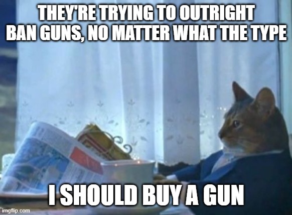 The second amendment was written to defend every human's right to self protection. | THEY'RE TRYING TO OUTRIGHT BAN GUNS, NO MATTER WHAT THE TYPE; I SHOULD BUY A GUN | image tagged in memes,i should buy a boat cat | made w/ Imgflip meme maker