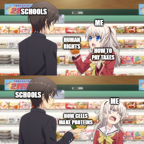 Schools in a nutshell | SCHOOLS; ME; HUMAN RIGHTS; HOW TO PAY TAXES; SCHOOLS; ME; HOW CELLS MAKE PROTEINS | image tagged in charlotte anime,school | made w/ Imgflip meme maker