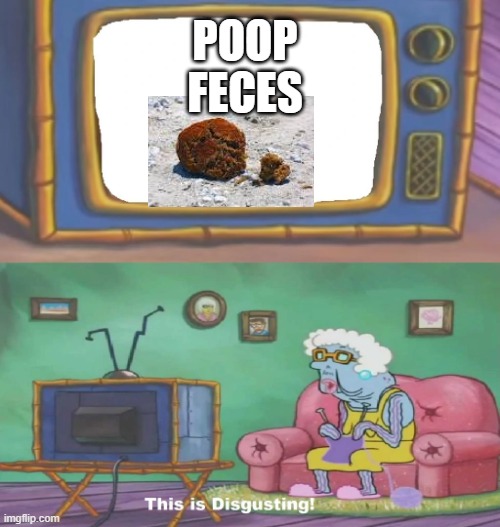 Spongebob This Is Disgusting | POOP FECES | image tagged in spongebob this is disgusting | made w/ Imgflip meme maker