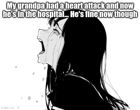 ...So today has been shit | My grandpa had a heart attack and now he's in the hospital... He's fine now though | image tagged in crying aya asagiri | made w/ Imgflip meme maker