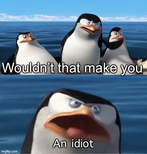 Wouldn’t that make you | An idiot | image tagged in wouldn t that make you | made w/ Imgflip meme maker