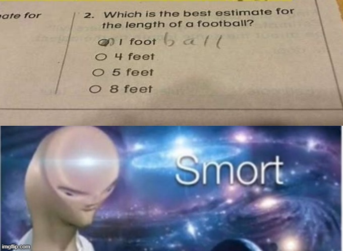 Smort | image tagged in meme man smort,funny test answers | made w/ Imgflip meme maker