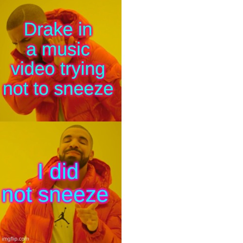 Drake Hotline Bling Meme | Drake in a music video trying not to sneeze I did not sneeze | image tagged in memes,drake hotline bling | made w/ Imgflip meme maker
