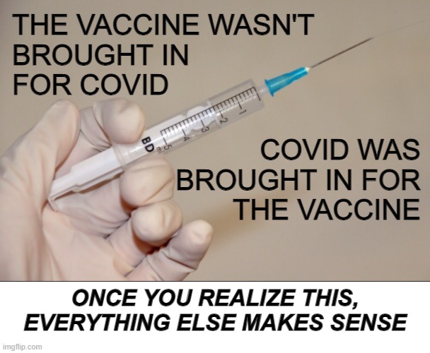 It's a planned globalist event, all of it. And you're the lab rats. | THE VACCINE WASN'T 
BROUGHT IN 
FOR COVID; COVID WAS
BROUGHT IN FOR
THE VACCINE; ONCE YOU REALIZE THIS, EVERYTHING ELSE MAKES SENSE | image tagged in covid-19 | made w/ Imgflip meme maker