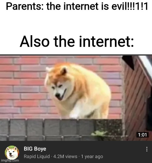 Parents: the internet is evil!!!1!1; Also the internet: | image tagged in blank white template | made w/ Imgflip meme maker