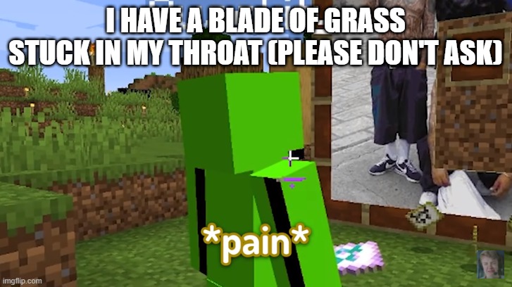 I HAVE A BLADE OF GRASS STUCK IN MY THROAT (PLEASE DON'T ASK) | image tagged in p a i n | made w/ Imgflip meme maker