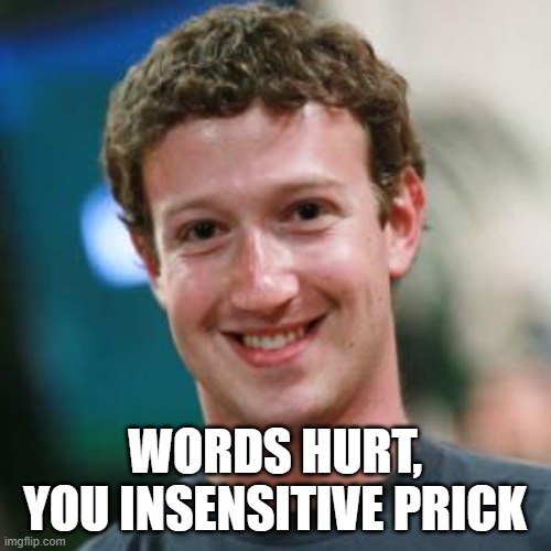 Mark Zuckerberg | WORDS HURT, YOU INSENSITIVE PRICK | image tagged in mark zuckerberg | made w/ Imgflip meme maker