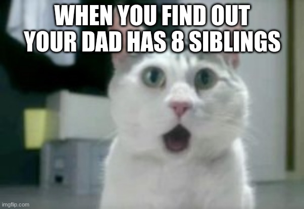 Being Shocked |  WHEN YOU FIND OUT YOUR DAD HAS 8 SIBLINGS | image tagged in memes | made w/ Imgflip meme maker
