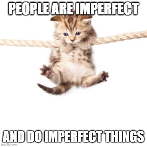 Hang in there kitty  | PEOPLE ARE IMPERFECT; AND DO IMPERFECT THINGS | image tagged in hang in there kitty | made w/ Imgflip meme maker