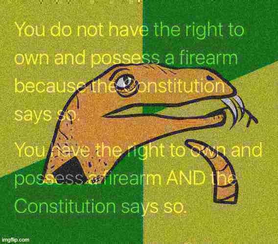 Libertarian philososnek | image tagged in libertarian,gun control,the constitution | made w/ Imgflip meme maker
