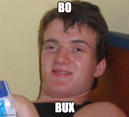 10 Guy Meme | BO BUX | image tagged in memes,10 guy | made w/ Imgflip meme maker