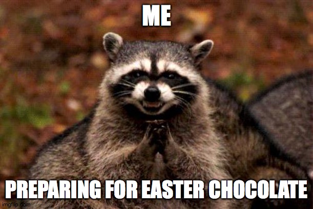 Raccoon Easter |  ME; PREPARING FOR EASTER CHOCOLATE | image tagged in memes,evil plotting raccoon,raccoon,easter,chocolate | made w/ Imgflip meme maker