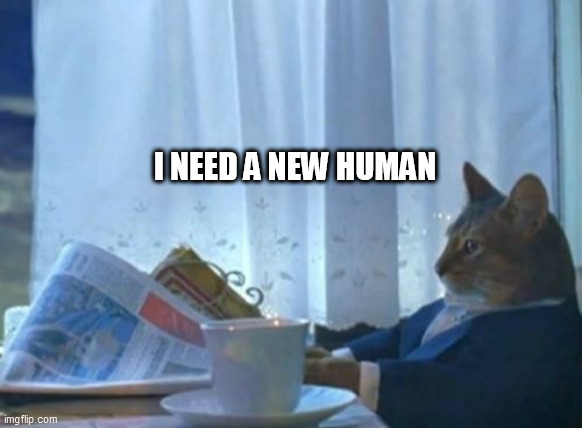 I Should Buy A Boat Cat | I NEED A NEW HUMAN | image tagged in memes,i should buy a boat cat | made w/ Imgflip meme maker