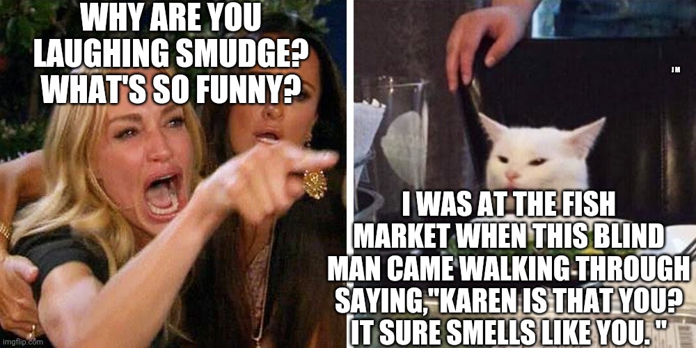 Smudge the cat | WHY ARE YOU LAUGHING SMUDGE? WHAT'S SO FUNNY? J M; I WAS AT THE FISH MARKET WHEN THIS BLIND MAN CAME WALKING THROUGH SAYING,"KAREN IS THAT YOU? IT SURE SMELLS LIKE YOU. " | image tagged in smudge the cat | made w/ Imgflip meme maker