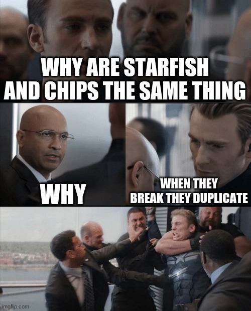 true | WHY ARE STARFISH AND CHIPS THE SAME THING; WHY; WHEN THEY BREAK THEY DUPLICATE | image tagged in captain america elevator fight | made w/ Imgflip meme maker
