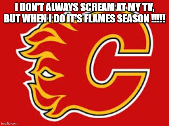 I DON'T ALWAYS SCREAM AT MY TV, BUT WHEN I DO IT'S FLAMES SEASON !!!!! | made w/ Imgflip meme maker