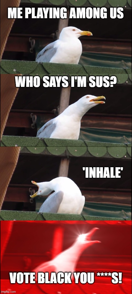 Angry seagull playing among us | ME PLAYING AMONG US; WHO SAYS I'M SUS? 'INHALE'; VOTE BLACK YOU ****S! | image tagged in inhaling seagull,memes,funny,black sus,among us | made w/ Imgflip meme maker