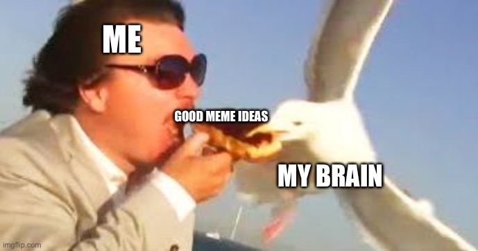 It is so true | ME; GOOD MEME IDEAS; MY BRAIN | image tagged in swiping seagull | made w/ Imgflip meme maker
