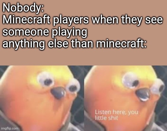Listen here you little shit bird | Nobody:
Minecraft players when they see someone playing anything else than minecraft: | image tagged in listen here you little shit bird | made w/ Imgflip meme maker