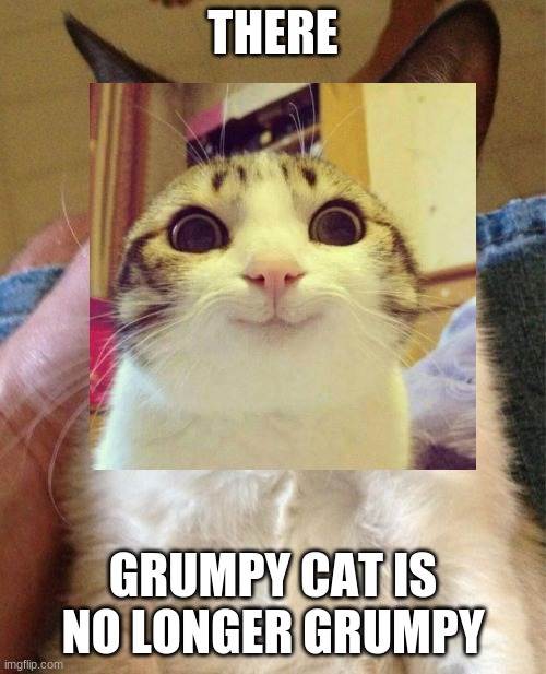 i literally made this in like 10 seconds... | THERE; GRUMPY CAT IS NO LONGER GRUMPY | image tagged in fun,cats,funny cats | made w/ Imgflip meme maker