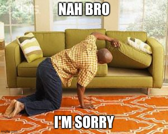 searching  | NAH BRO I'M SORRY | image tagged in searching | made w/ Imgflip meme maker