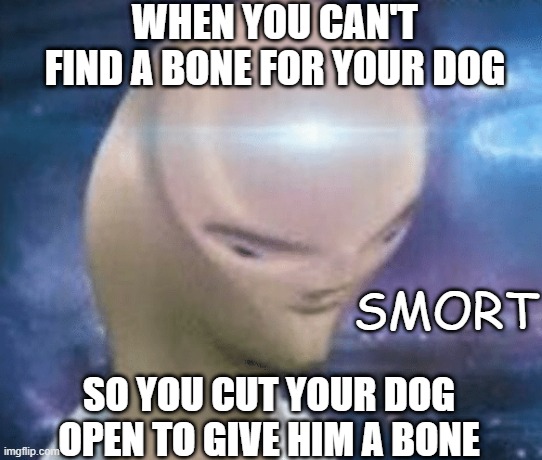 lol | WHEN YOU CAN'T FIND A BONE FOR YOUR DOG; SMORT; SO YOU CUT YOUR DOG OPEN TO GIVE HIM A BONE | image tagged in smort,memes,funny | made w/ Imgflip meme maker